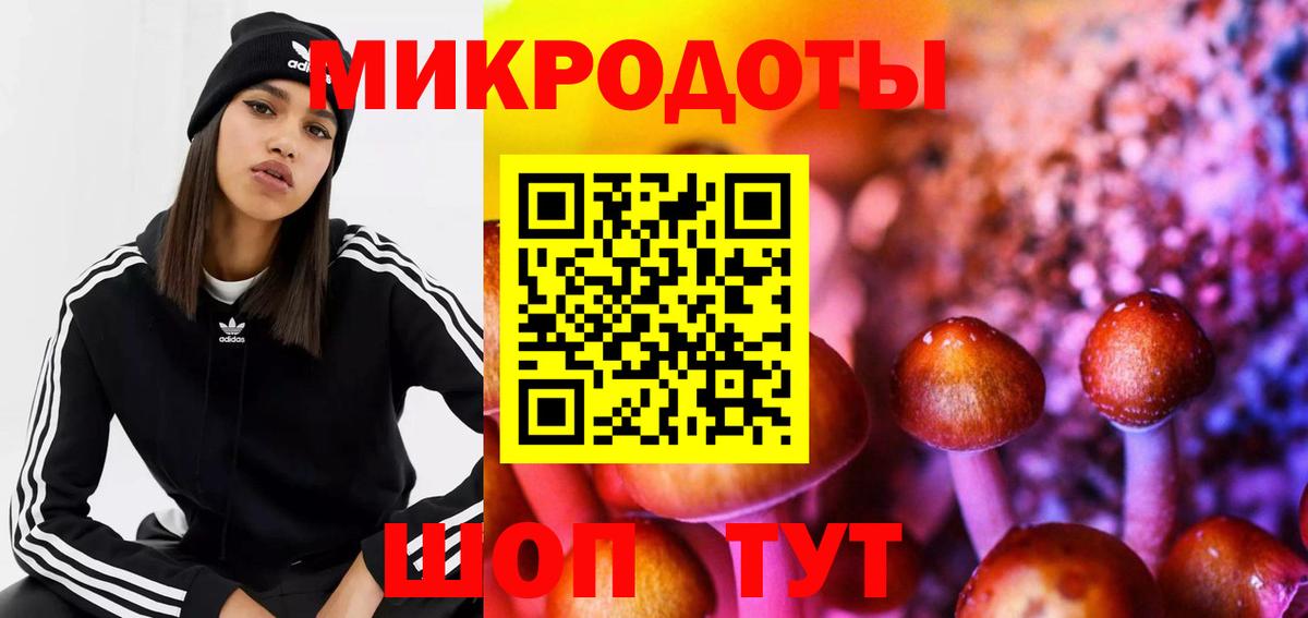 Галлюциногенные грибы GOLDEN TEACHER  Вход с VPN  Галлюциногенные грибы Cubensis  Советск 